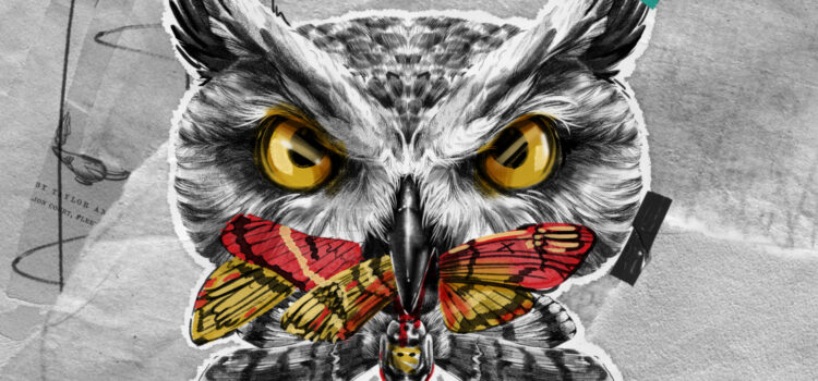 Ruff Majik – Moth Eater