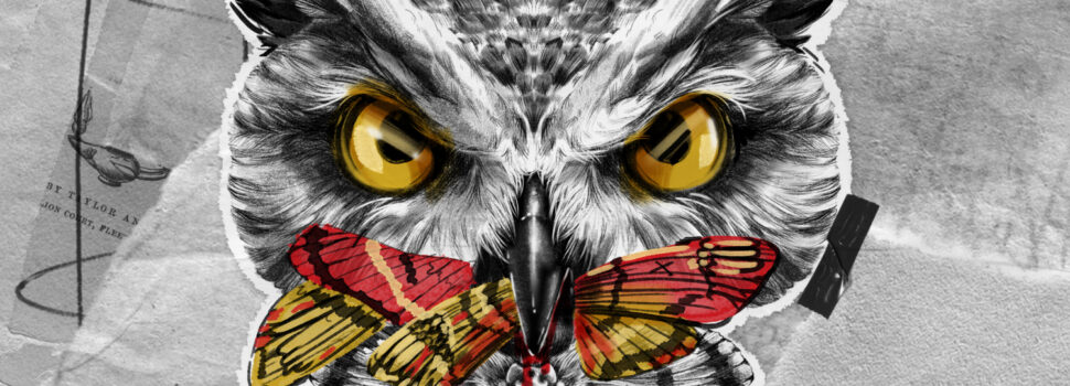 Ruff Majik – Moth Eater