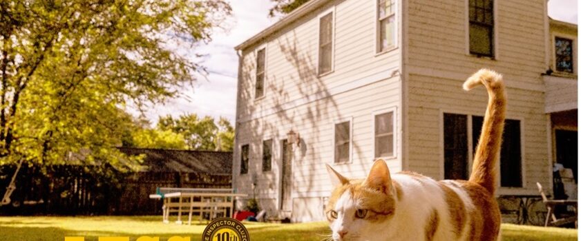 THE INSPECTOR CLUZO zehntes Album “Less Is More” erscheint am 06. Juni 2025