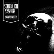 SCHÄDLICH & SÖHNE – Zweckpessimismus