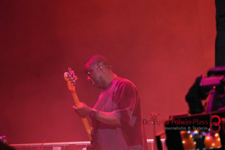 AUT OF ORDA_Donauinselfest 2025_Polwin-Plass_970-1