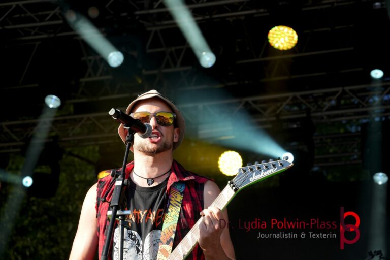 Die Analphabeten_Donauinselfest 2025_Polwin-Plass_238