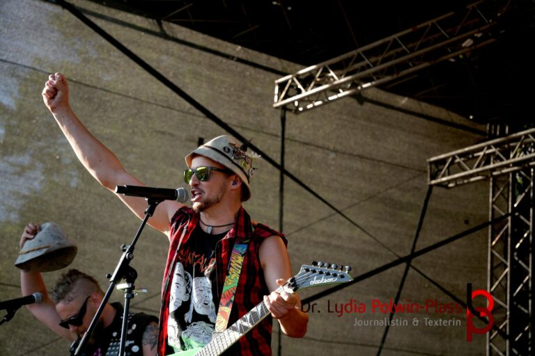 Die Analphabeten_Donauinselfest 2025_Polwin-Plass_239