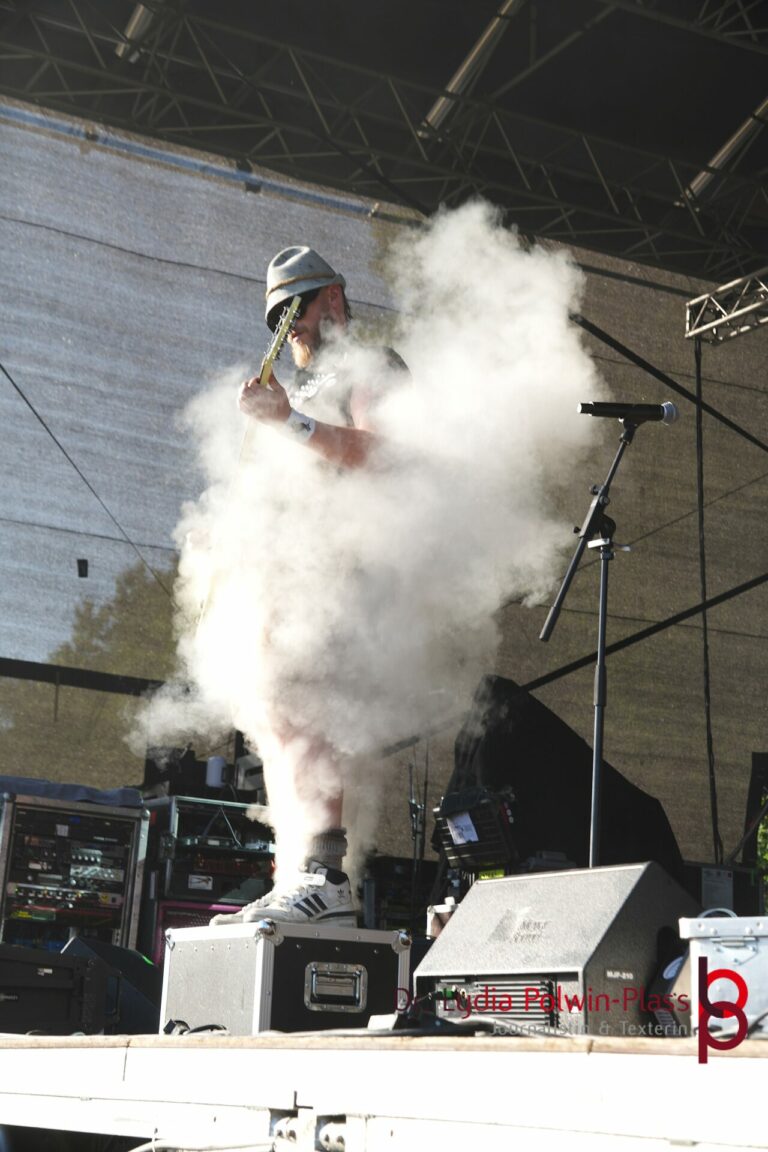 Die Analphabeten_Donauinselfest 2025_Polwin-Plass_242