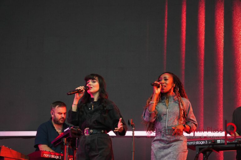 Rag’n‘ Bone Man_Donauinselfest 2025_Polwin-Plass_531-1