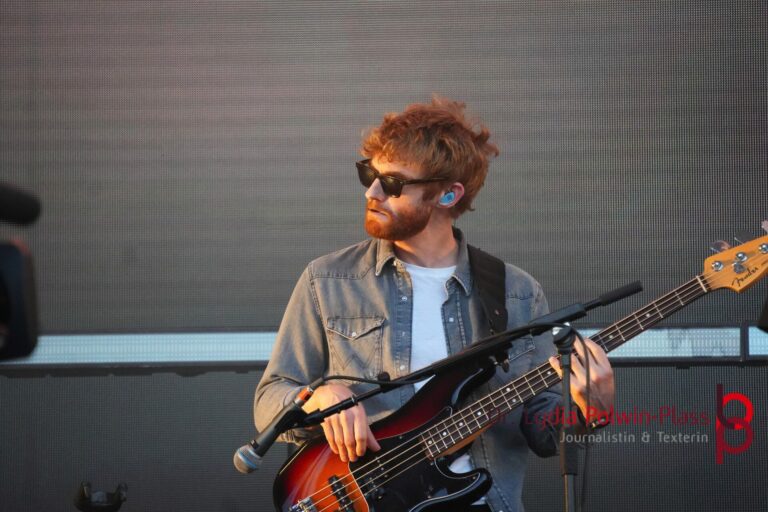 Rag’n‘ Bone Man_Donauinselfest 2025_Polwin-Plass_573-1