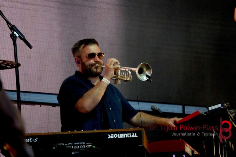 Rag’n‘ Bone Man_Donauinselfest 2025_Polwin-Plass_645-1