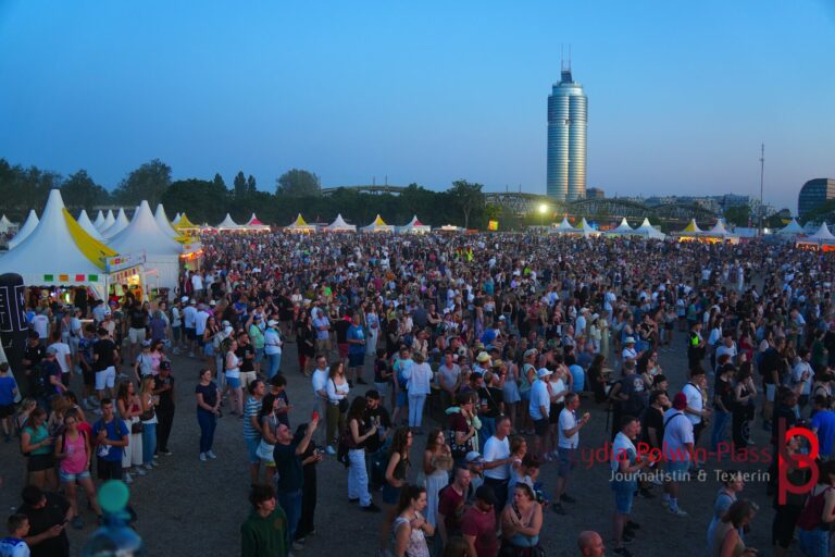 Rag’n‘ Bone Man_Donauinselfest 2025_Polwin-Plass_748-1