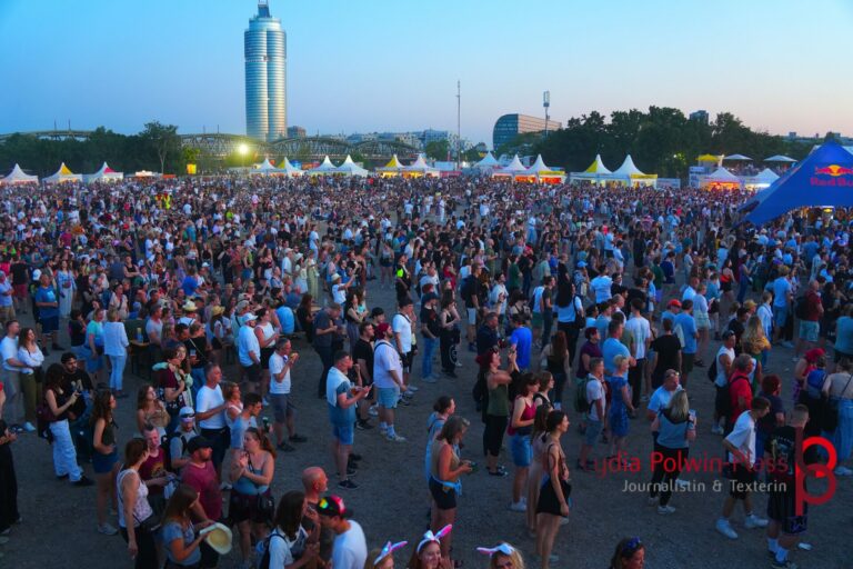 Rag’n‘ Bone Man_Donauinselfest 2025_Polwin-Plass_749-1