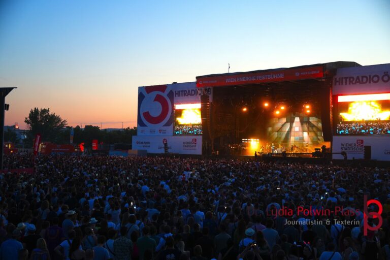 Rag’n‘ Bone Man_Donauinselfest 2025_Polwin-Plass_776-1