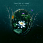 Dreams Of Gray – A Beginning