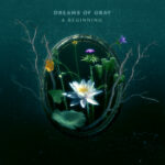 Dreams Of Gray – A Beginning