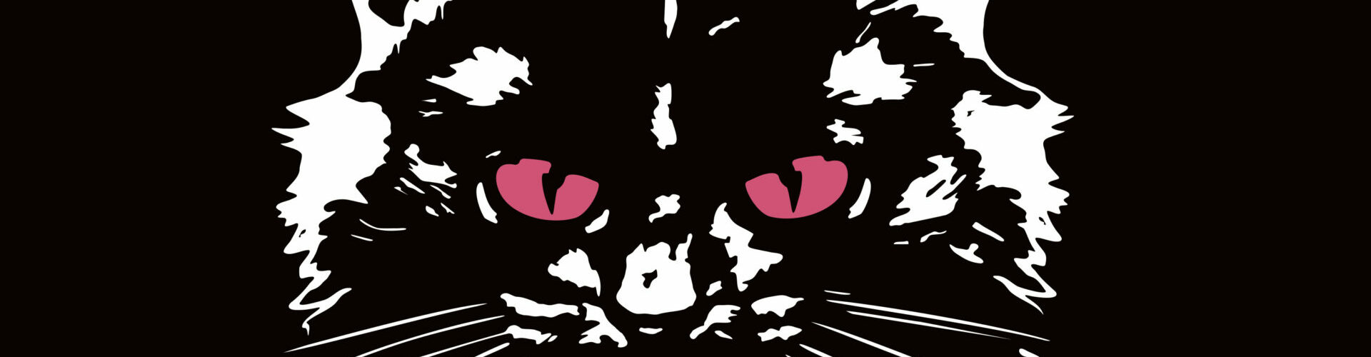 Hukies – neue österreichische Band mit Debüt-EP „all is kaputt”