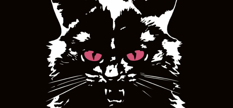 Hukies – neue österreichische Band mit Debüt-EP „all is kaputt”