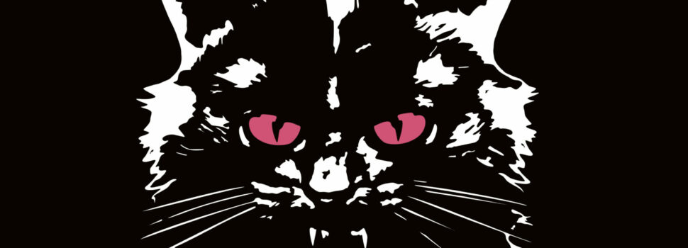 Hukies – neue österreichische Band mit Debüt-EP „all is kaputt”