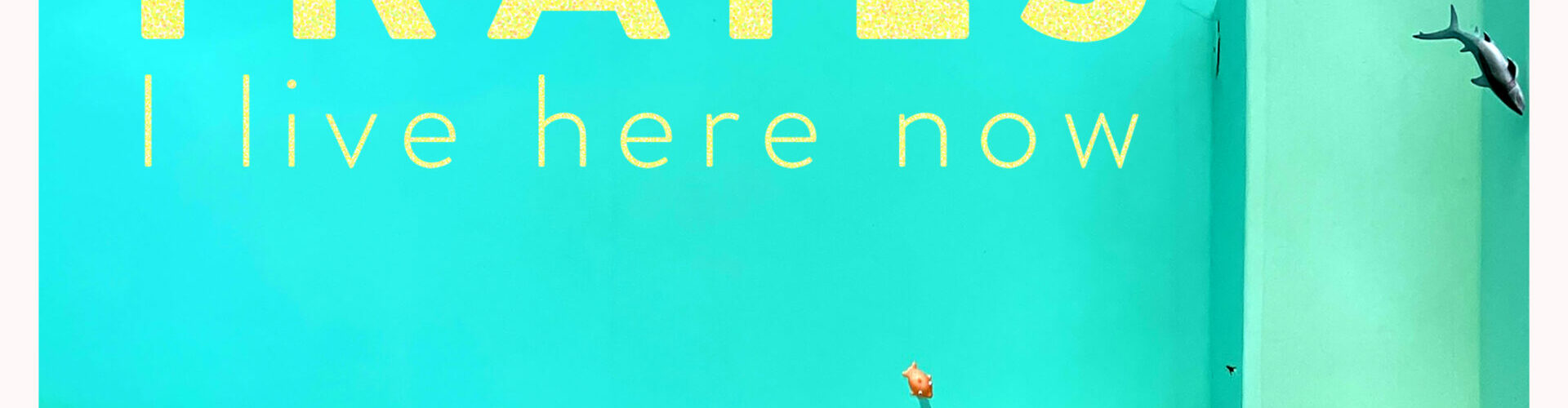 SHARK TRAILS – I live here now (EP) – Stilmix aus Gießen