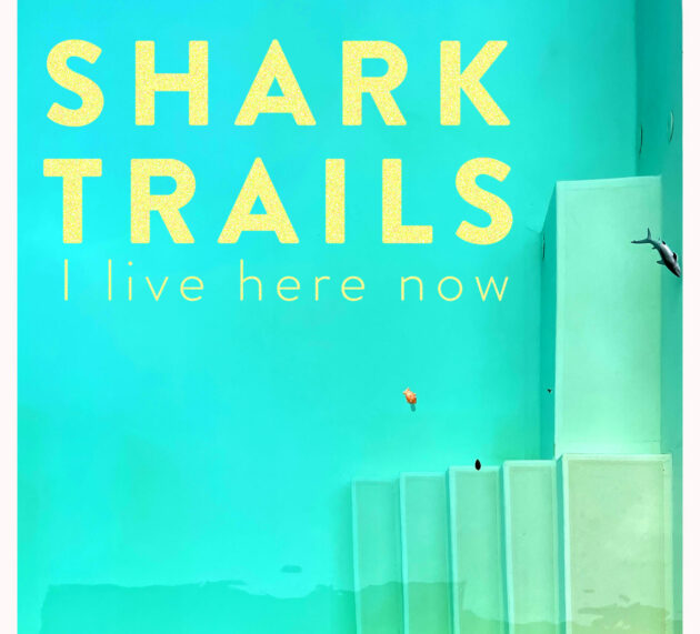 SHARK TRAILS – I live here now (EP) – Stilmix aus Gießen