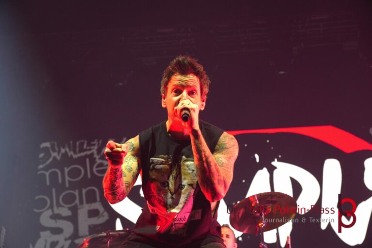 Simple Plan_Festhalle FFM_Polwin-Plass_751