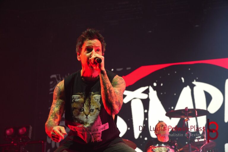 Simple Plan_Festhalle FFM_Polwin-Plass_752