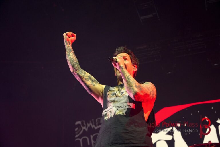 Simple Plan_Festhalle FFM_Polwin-Plass_770