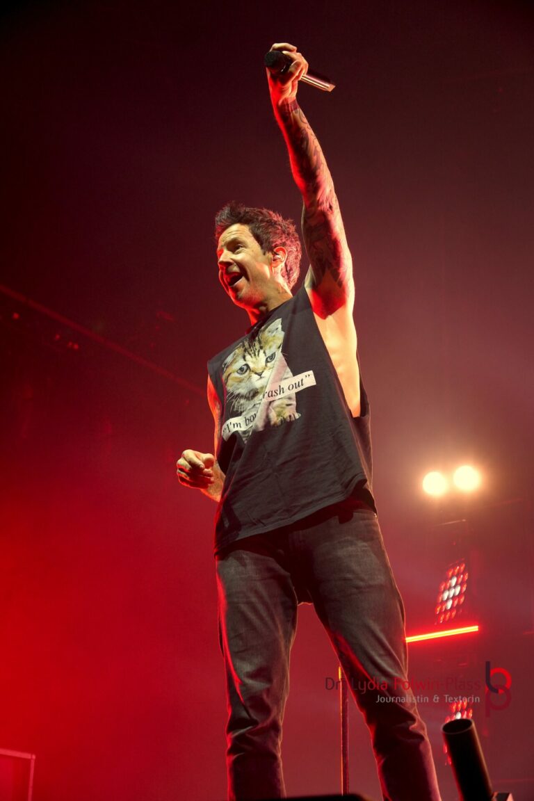 Simple Plan_Festhalle FFM_Polwin-Plass_793