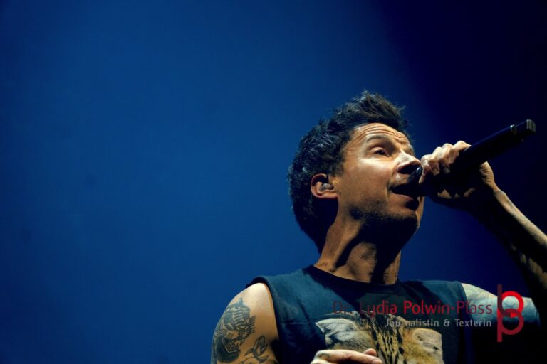Simple Plan_Festhalle FFM_Polwin-Plass_842