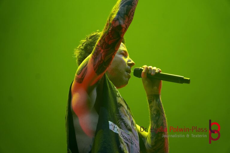 Simple Plan_Festhalle FFM_Polwin-Plass_892