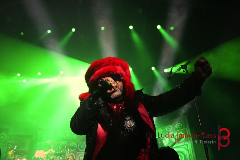 Skindred_Schlachthof_2025_Polwin-Plass_417