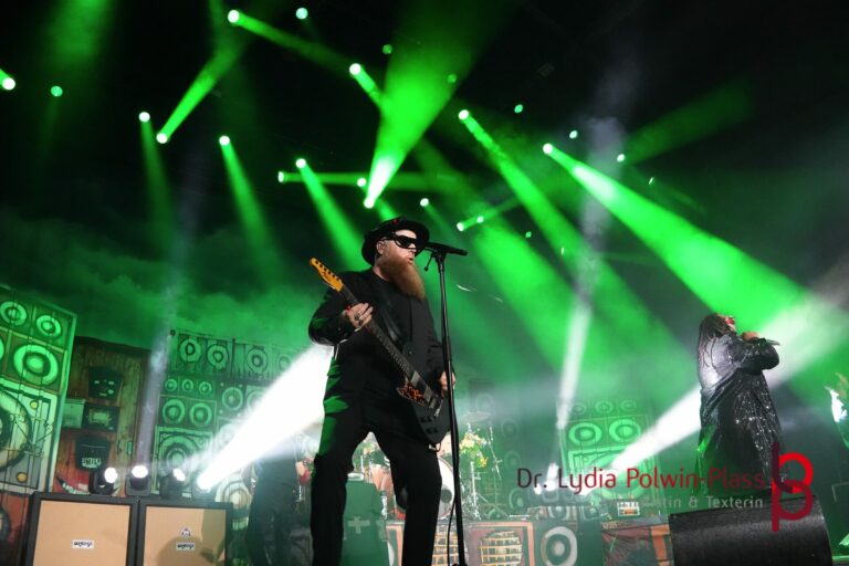 Skindred_Schlachthof_2025_Polwin-Plass_481