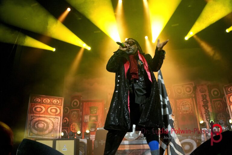 Skindred_Schlachthof_2025_Polwin-Plass_541