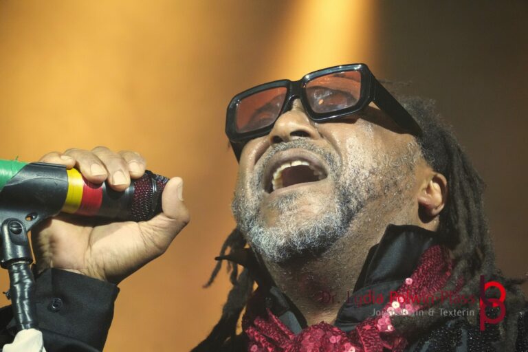 Skindred_Schlachthof_2025_Polwin-Plass_581