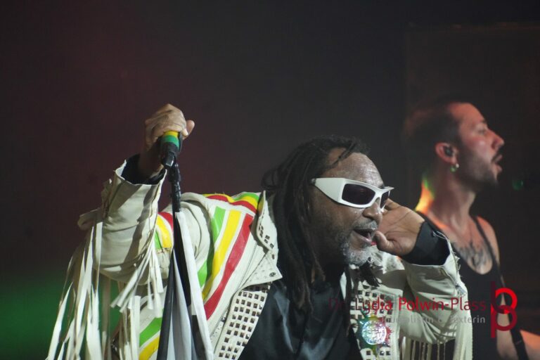 Skindred_Schlachthof_2025_Polwin-Plass_633