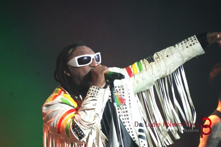 Skindred_Schlachthof_2025_Polwin-Plass_635