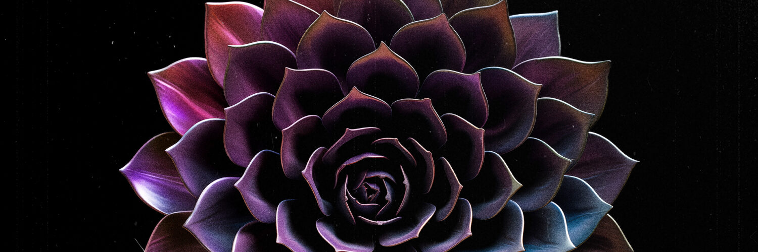 HOLLOW PEAK – Obsidian Cult