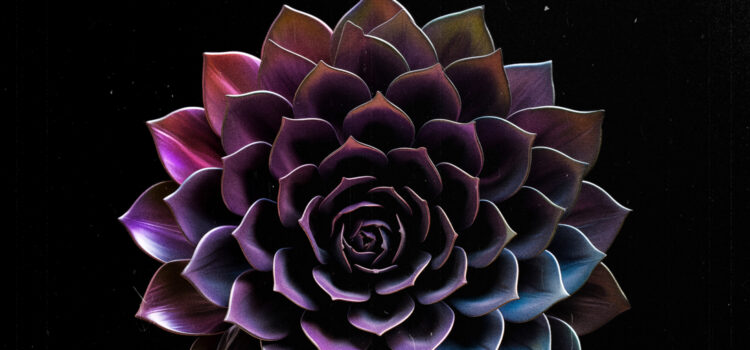 HOLLOW PEAK – Obsidian Cult