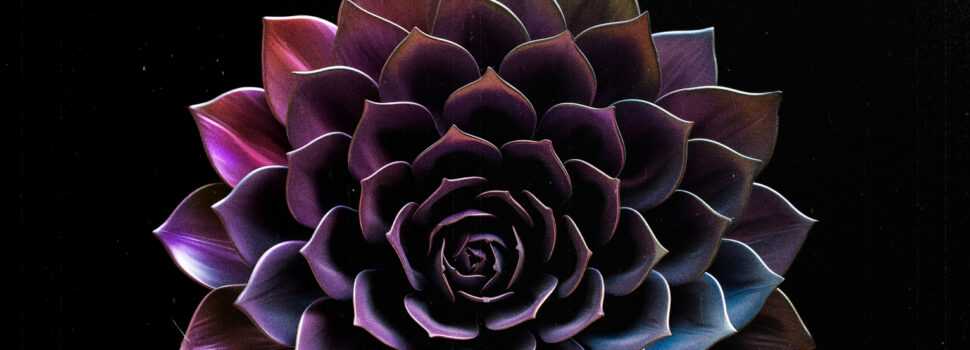 HOLLOW PEAK – Obsidian Cult