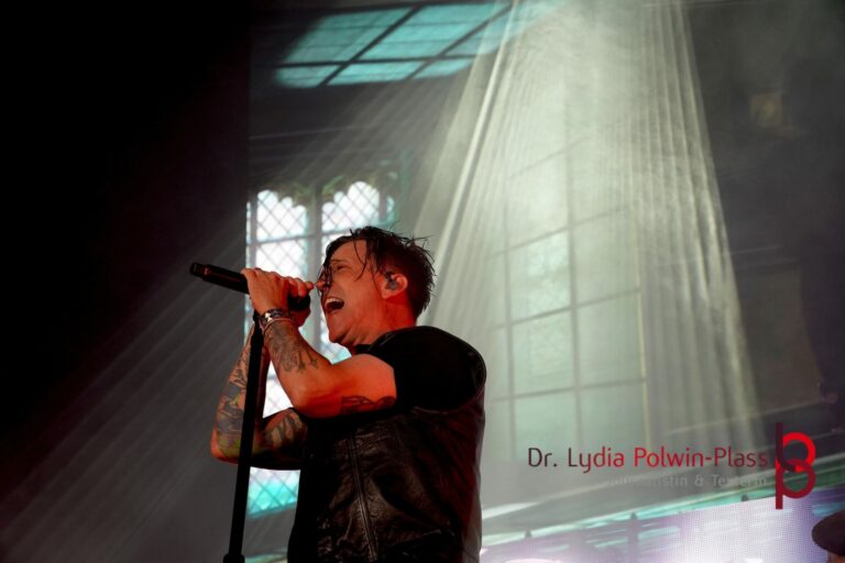 Billy Talent_Arena Wien_Polwin-Plass_222