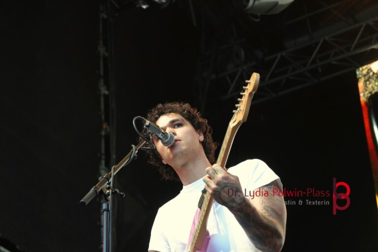 Hollerado_Arena Wien_Polwin-Plass_169