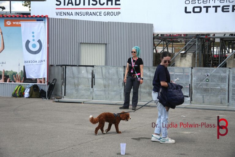 Thorsteinn Einnarsson_DIF_2026_Wien_Polwin-Plass_180
