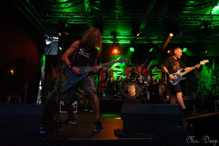 Tankard (15)